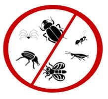 Anti Bugs Company in Kuwait