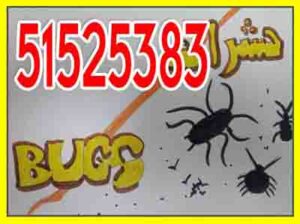 مكافحة حشرات