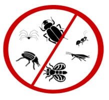 موقع شركة الطيار للخدمات العامة  AnTi-Bugs