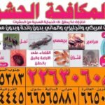 شركة 51525383 مكافحة حشرات بالكويت رش المبيدات