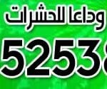 شركة الكويت لمكافحة الحشرات