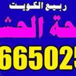 مكافحة حشرات القرين 66502530