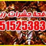 مكافحة حشرات ربيع 51525383