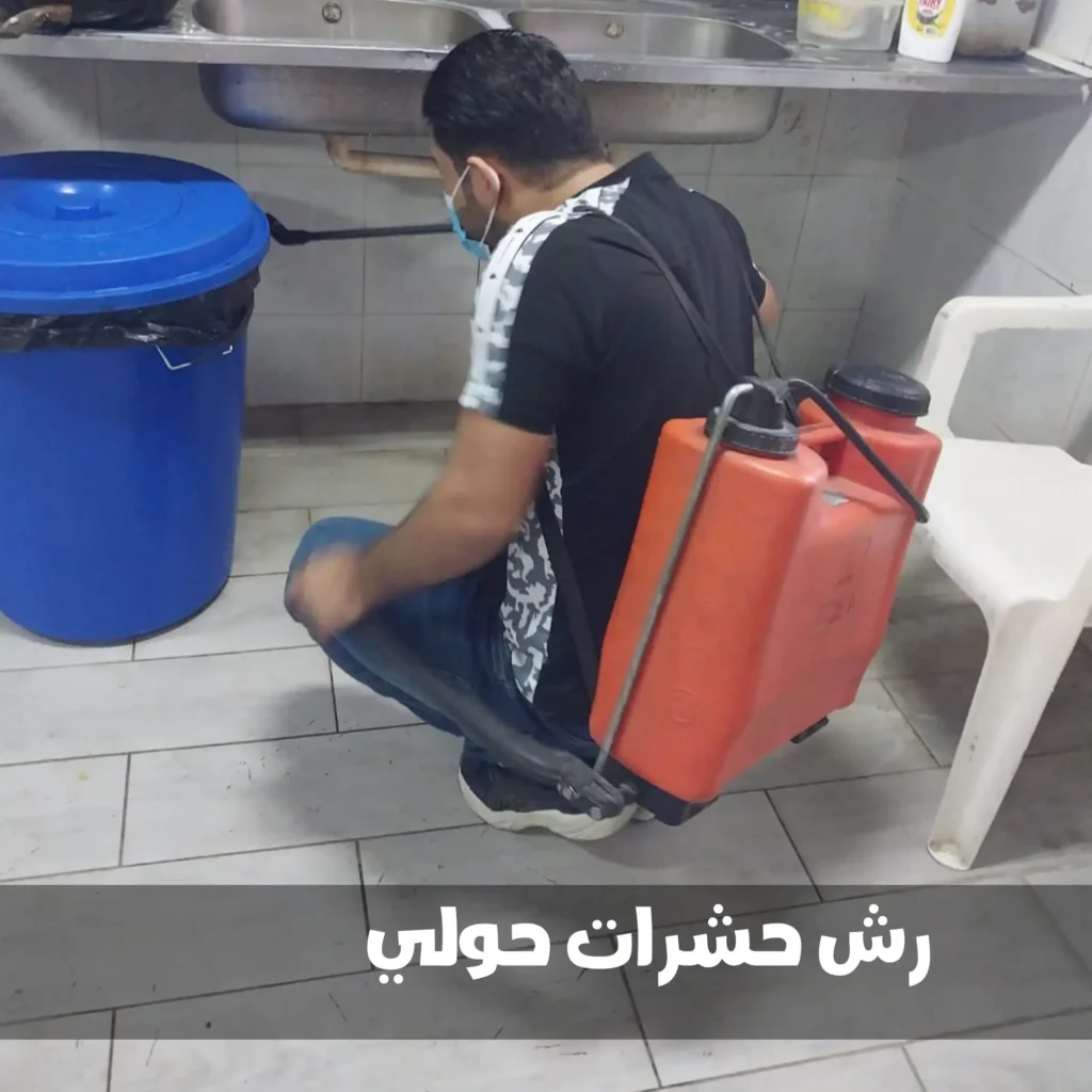 شركة مكافحة حشرات صقر الكويت - 51525383 رش مبيدات 3 مكافحة حشرات حولي